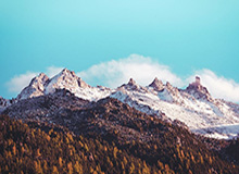 【欧洲杯】飞翼连场破门+造点 荷兰2比0奥地利出线